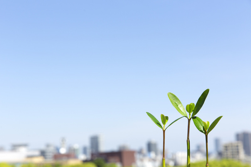 マンション ご売却 K様